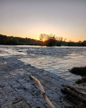 L'entre deux ponts à Azay-sur-Cher - Teddy - 8
