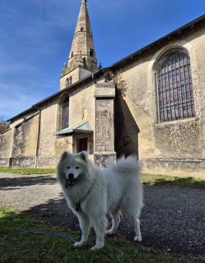 Arlay, Ruffey s/Seille en longeant la Seille - Arlay - 15