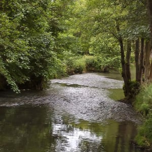 Rouler au fil de la Risle et ambiance champêtre - Saint-Sulpice-sur-Risle - 4