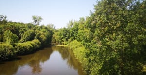 Lac du Jaunay - Saint-Julien-des-Landes - 9