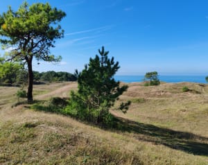 Un bon bol d'air aux Dunes de Biville - La Hague - 6