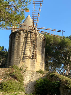 Les hauts de Barbentane - Barbentane - 16