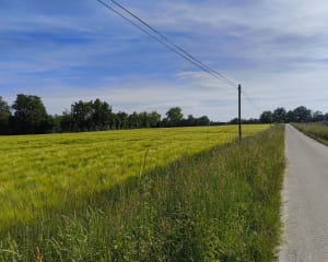 La Dombes à vélo. - Bouligneux - 6