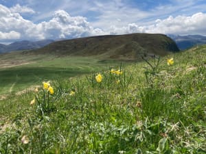 Guéry-plateau en Banne d'Ordanche nabij Mont-Dore - Perpezat - 33