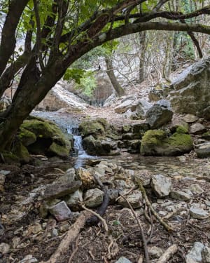 Balade dans le vallon sauvage du Tiourre, sa source et son moulin - Vallon-Pont-d'Arc - 19