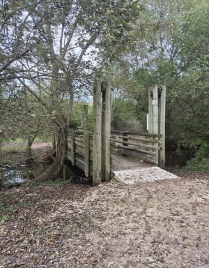 Tour du plan d’eau d’Arc-sur-Tille - Arc-sur-Tille - 3