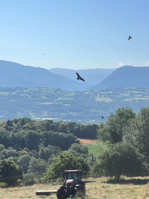 Petite balade ombragée à Mondurand - Entrelacs - 3