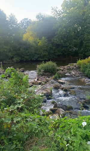 Au fil de la Sélune et du bois d'Ardennes - Céline - 2