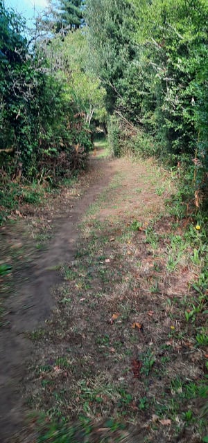 Logonna-Daoulas et le tour de la Pointe du Château - Logonna-Daoulas - 3