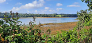 Logonna-Daoulas et le tour de la Pointe du Château - Logonna-Daoulas - 5