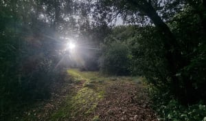 Wandeling naar de Gour de la Sompe en uitzicht op de Ibie - Lagorce - 30