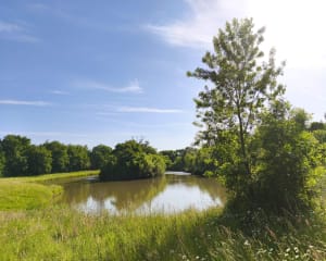 St Martin du Fouilloux ses Etangs et sa Forêt - Saint-Martin-du-Fouilloux - 7