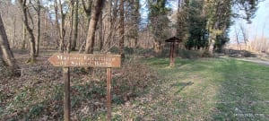 Balade en forêt d’Arques - Arques-la-Bataille - 4