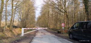 Balade en forêt d’Arques - Arques-la-Bataille - 5