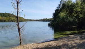Tour du lac de Gouyre - Vaïssac - 19