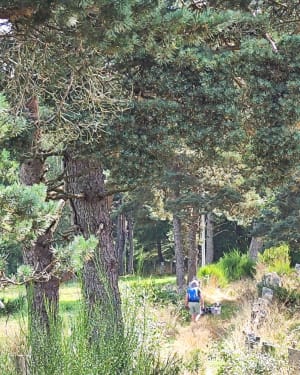 Uitje op het platteland rond Lac du Moulinet - Le Buisson - 2