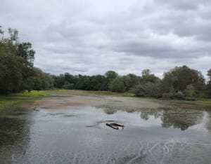 Parc des quinze sols - Beauzelle - 6