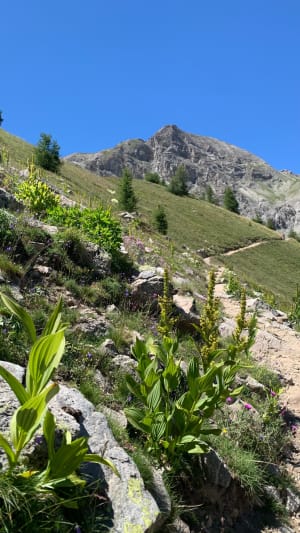 Col de la Cayolle et superbes lacs d'altitude du Mercantour - Uvernet-Fours - 5