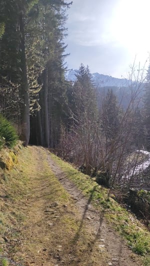 Loop naar Fond de France en de Pissou-waterval - Le Haut-Bréda - 27
