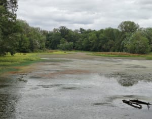 Parc des quinze sols - Beauzelle - 7