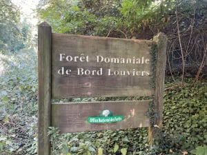 Randonnée en forêt de Bord - Val-de-Reuil - 6