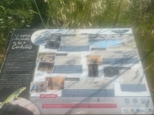 Boucle Lac de  Cambelliés - Loupian - 12