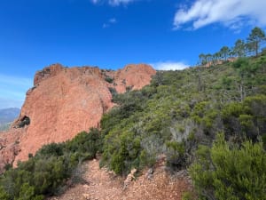 Kleurrijke wandeling naar de Col en Pic du Cap Roux - Saint-Raphaël - 52