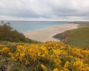 Kaap van de Geitenlus vanuit Saint-Hernot - Crozon - 57