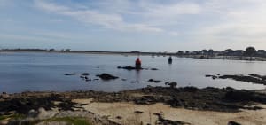 Tour de ports-louis - Port-Louis - 9