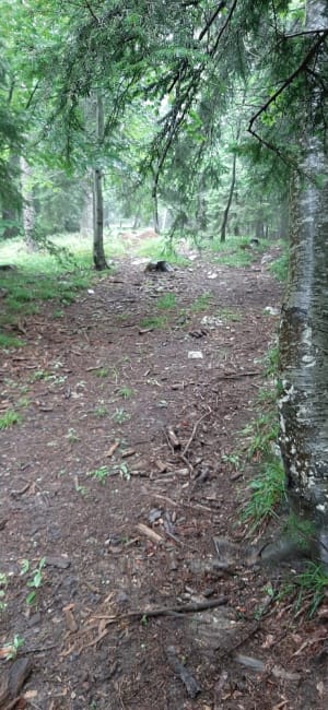 Les Glovettes - Preys weilandenmeer - Villard de Lans - 10