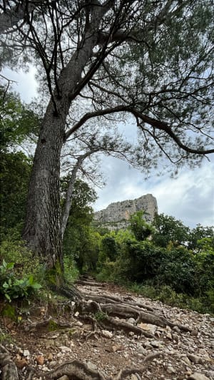 Le cirque de l'Infernet par la boucle des Fenestrettes - Saint-Guilhem-le-Désert - 42