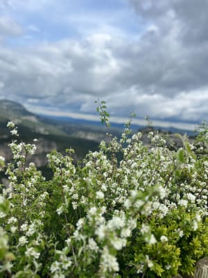 Le cirque de l'Infernet par la boucle des Fenestrettes - Saint-Guilhem-le-Désert - 43