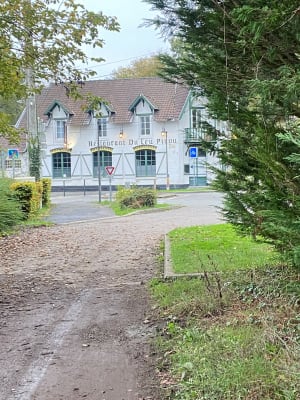 Forêt  de Phalempin - Phalempin - 11
