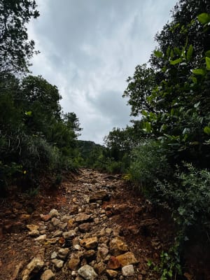 Le cirque de l'Infernet par la boucle des Fenestrettes - Saint-Guilhem-le-Désert - 44