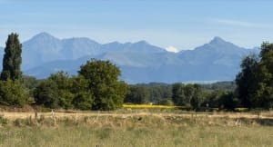 Campagne tarbaise vers Juillan - Tarbes - 3