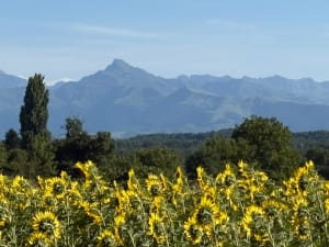 Campagne tarbaise vers Juillan - Tarbes - 4
