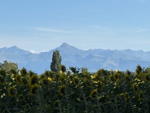 Campagne tarbaise vers Juillan - Tarbes - 5