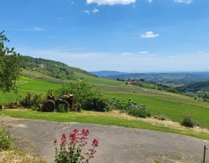Rando dans les vignes depuis Le Bois-d'Oingt - Val d'Oingt - 6
