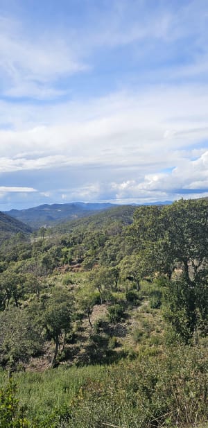Tour du Lac de l'Avellan - Les-Adrets-de-l'Esterel - 8