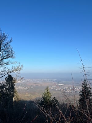 Châteaux alsaciens depuis Husseren-les-Châteaux - lilou - 7