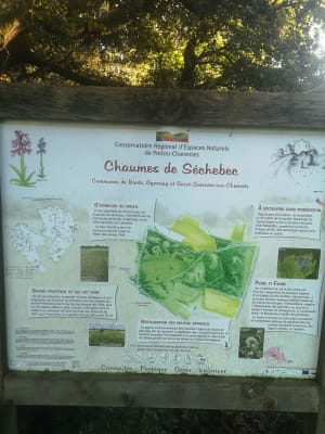 Chaumes de Sèchebec - Manon - 3
