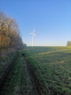 Chaumes de Sèchebec - Manon - 5