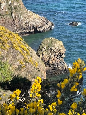 De coolste wandeling van Frankrijk vind je in Bretagne! - Crozon - 13
