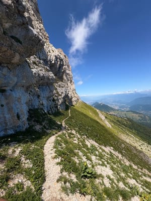 Grande Moucherolle et délices de montagne - Château-Bernard - 6