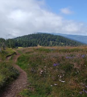 Petit ballon et Steinberg - Breitenbach-Haut-Rhin - 12