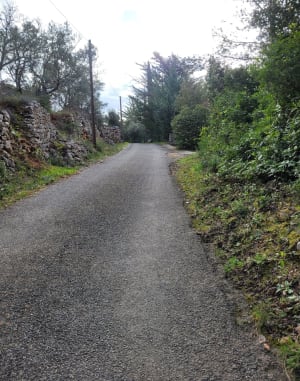 Tour de la forêt du Puy, depuis Claviers - Claviers - 3