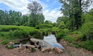 Entre la LOIRE et le canal de ROANNE. - Roanne - 12