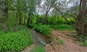 Entre la LOIRE et le canal de ROANNE. - Roanne - 13