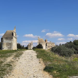 Bords du canal de Gignac et balade dans les vignes - Popian - 3