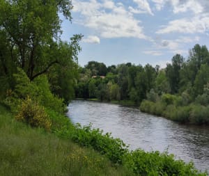 Entre la LOIRE et le canal de ROANNE. - Roanne - 14